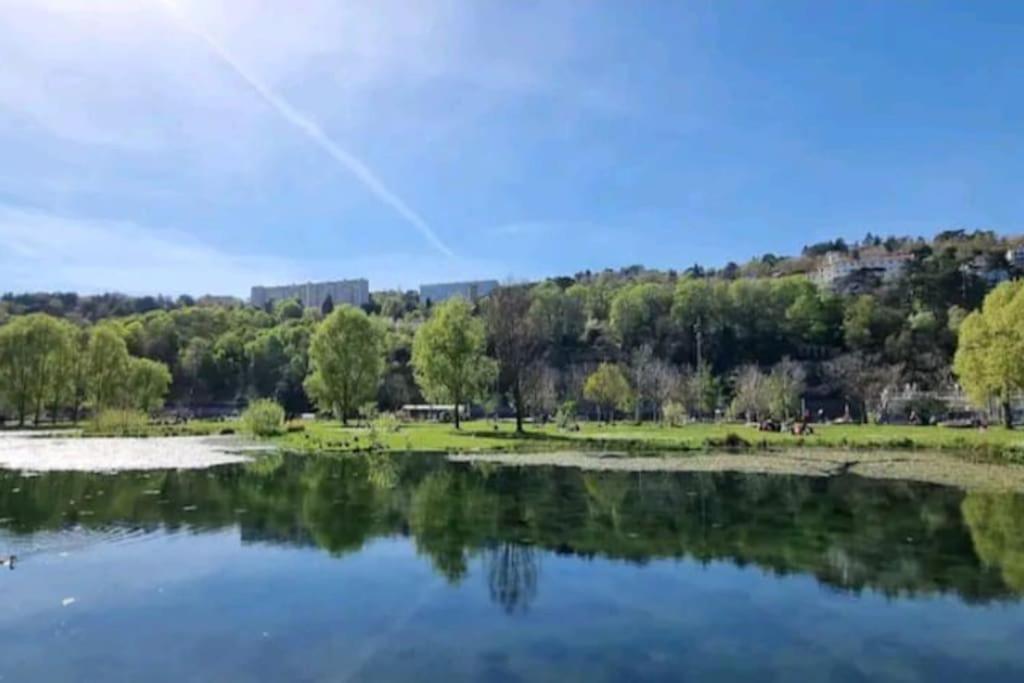 Appartement Dans Peniche Atypique Et Idyllique A Confluence Lyon Eksteriør billede