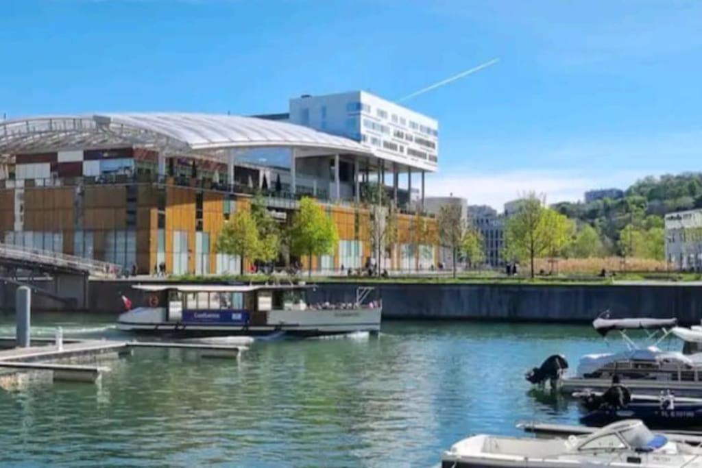 Appartement Dans Peniche Atypique Et Idyllique A Confluence Lyon Eksteriør billede